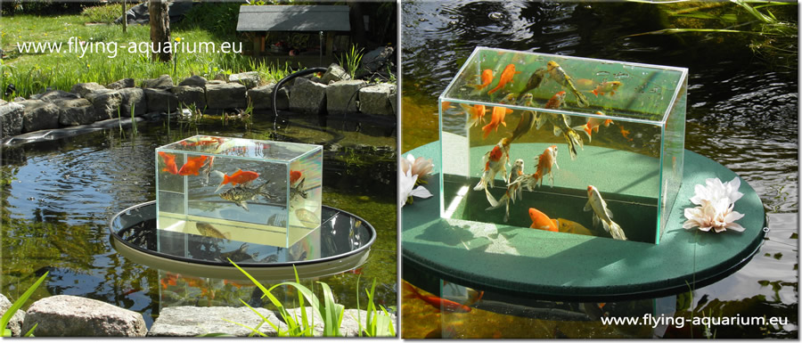 Above pond fish tank shop
